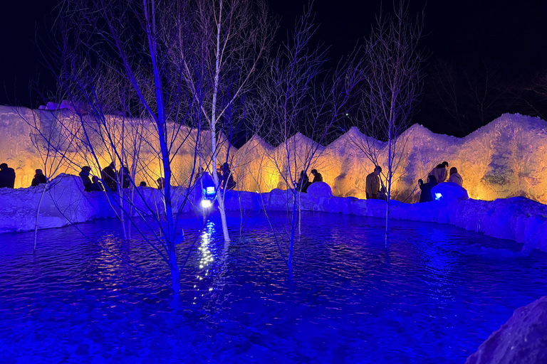 From Sapporo: Lake Shikotsu Ice Festival & Illumination Tour