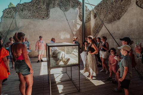 From Rome: Pompeii & Vesuvius Guided Excursion by Train