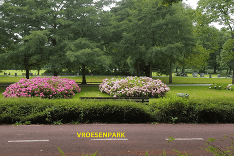 La campiña de Rotterdam sobre ruedas - paseo en bici por la ciudad