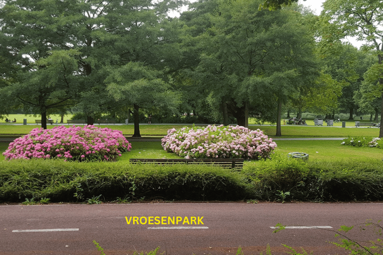 La campiña de Rotterdam sobre ruedas - paseo en bici por la ciudad