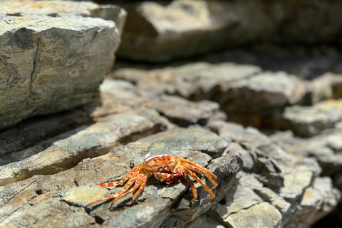Sint Maarten: Hiking, Meditation, and Live Music by the Sea