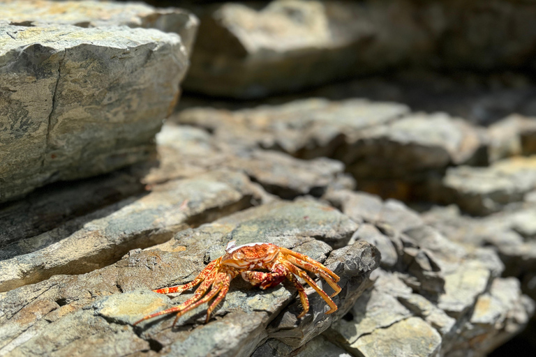 Sint Maarten: Hiking, Meditation, and Live Music by the Sea