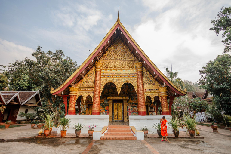 جولة طعام ميكونغ ميلز مع أكثر من 15 تجربة تذوق