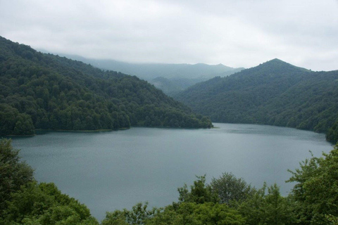 Algeti Lake,Asureti, and Diamond Bridge INCLUDE ENTRANCE!