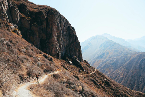 Excursion d&#039;une journée au Canyon de Colca depuis Arequipa Départ 8h00