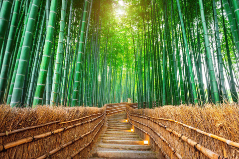 Osaka: Kyoto Private Day Tour