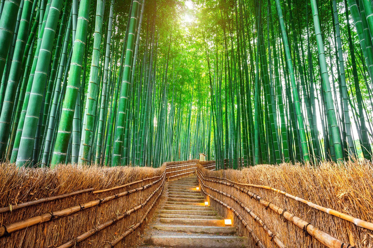 Osaka: Kyoto Private Day Tour