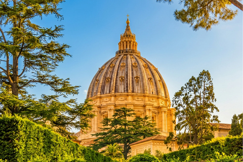 Vatican Museums & Sistine Chapel Entry & Experiences Vatican Museums & Sistine Chapel Private Tour