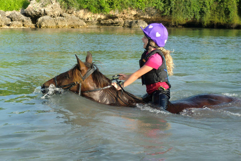 Comida en el Restaurante The Rock, Bosque de Jozani, Paseos a Caballo