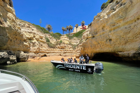From Armação de Pêra: Benagil Caves and Beaches Boat Tour Sunset Benagil Caves Boat Tour