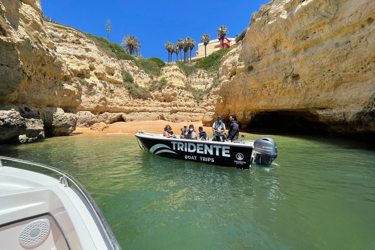 From Armação de Pêra: Benagil Caves and Beaches Boat Tour Sunset Benagil Caves Boat Tour