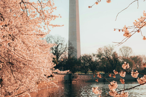 Washington DC vanuit New York 1 dagTour en Español