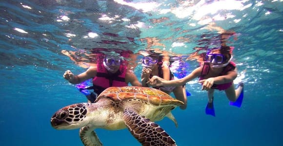 San Juan Snorkeling Tour with Roundtrip Transportation