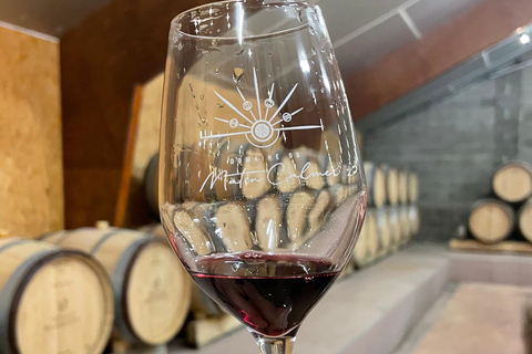 Educational hike in the Anjou vineyards Wine Hike