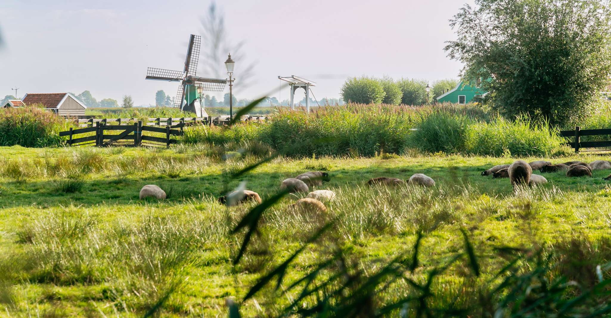 From Amsterdam: Zaanse Schans, Edam, Volendam & Marken photo 19