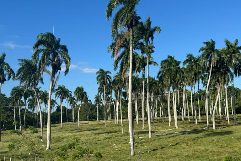 Puerto Plata: Real Estate Exploration Tour