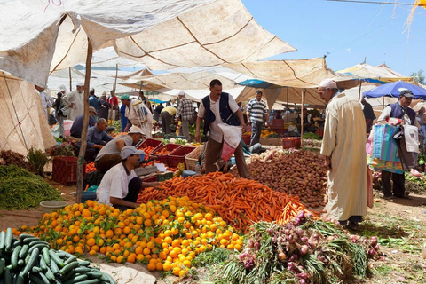 Dagsutflykt till Atlasbergen och 5 dalar från Marrakech