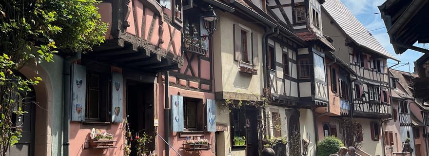 Visite privée en voiture de l'Alsace (France) et de la Forêt-Noire (Allemagne)