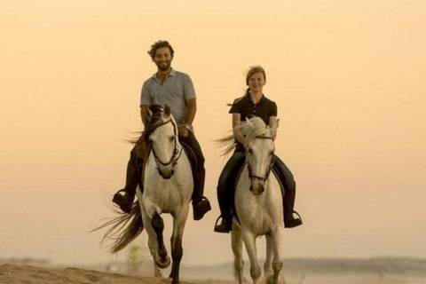 Guided Horse Riding Tour in Qatar: Ride Through Heritage