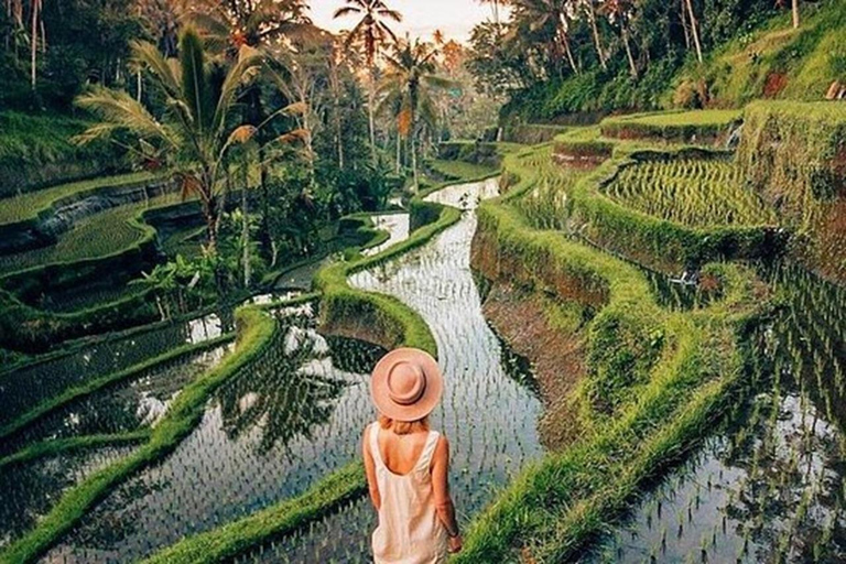 Bali: Tegalalang Rice Terraces Guided Tour with Hotel Pickup