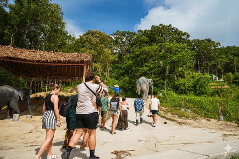 Phuket : visite privée des temps forts de la ville et sanctuaire des éléphants