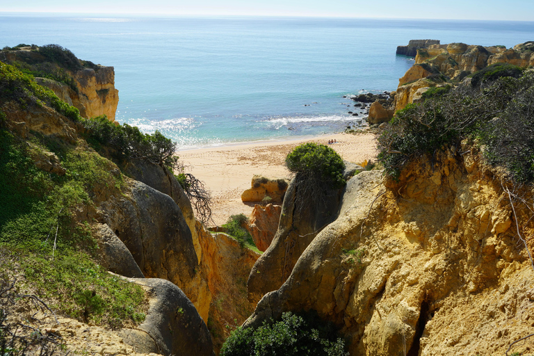 Albufeira Coastline Hiking - Small Group Albufeira Coastline Hiking Small Group
