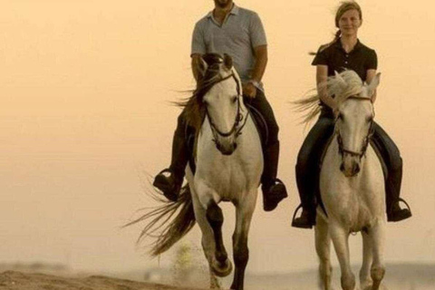 Doha: Fursan Al Sahra/Knights of the Desert Horse Experience