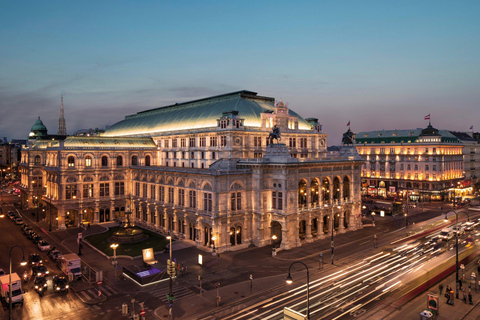 Tour privato di mezza giornata della città di Vienna, compreso il Castello di Schönbrunn