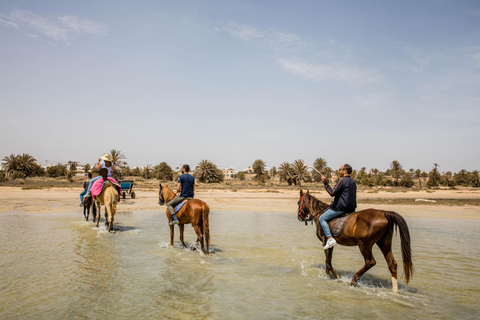 Blaue Lagune 2H Kutschfahrt in DjerbaTraditionelle Pferdekutschenfahrt in Djerba