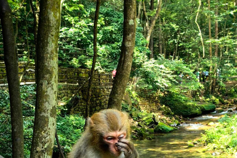 Zhangjiajie Avatar & Tianmen Day Trip Beat Heat & Crowds