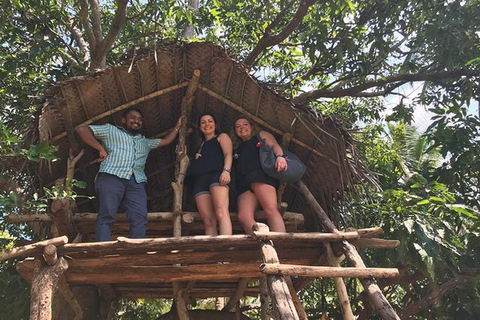 Sri Lanka Private Tour 12 days-Driver/vehicle/accommodation