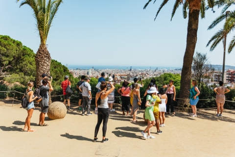 Barcelona: visita guiada y entrada sin colas al Parque GüellTour Guiado Park Güell - Francés