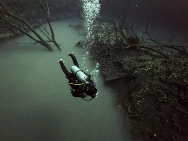 Akumal: 2 Dives at Cenote Dos Ojos