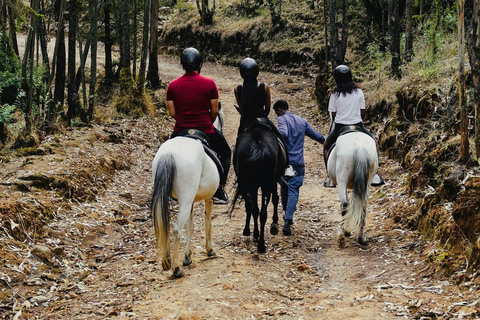 Addis Ababa: Mount Entoto Forest & City View Spa Escape