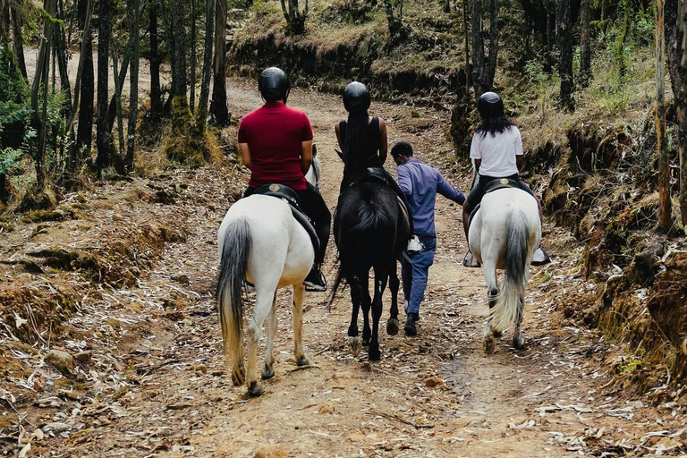 Addis Ababa: Mount Entoto Forest & City View Spa Escape