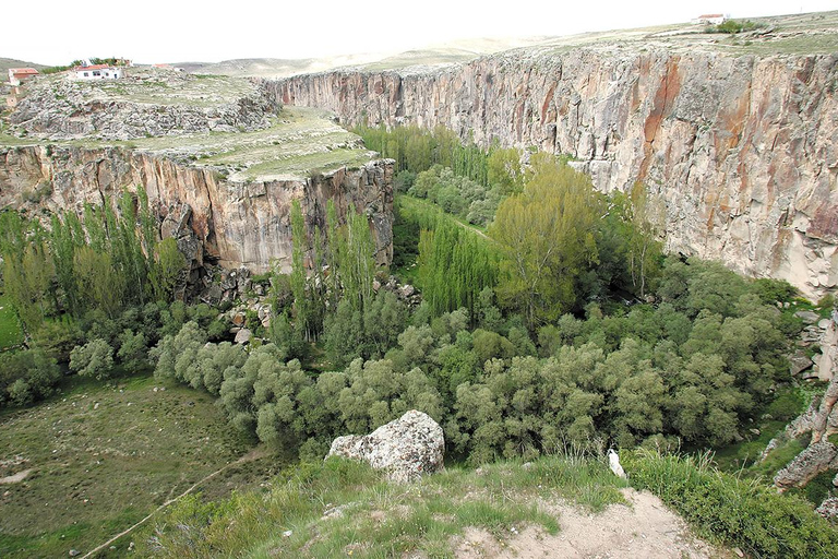 土耳其：15 天免排队博物馆和景点通票