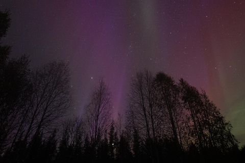 Levi: Nordlichter Pro garantiert – unbegrenzte EntfernungLevi: Nordlichter garantiert – unbegrenzte Entfernung