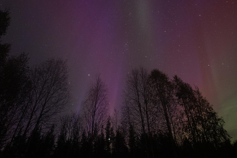 Levi: Nordlichter Pro garantiert – unbegrenzte EntfernungLevi: Nordlichter garantiert – unbegrenzte Entfernung