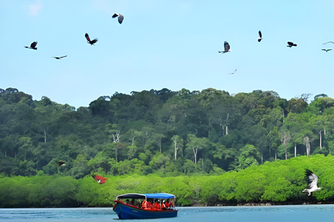 Langkawi: Mangroven-Touren mit Optionen