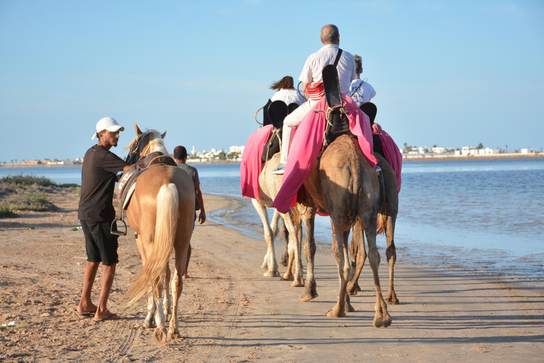 Djerba One Day Package : horse, Camel and quad