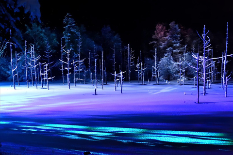 Sapporo: Blue Pond & Ningle Terrace Illumination, Biei Tour 10:40 – Departure：Sapporo Station North Exit Bus Parking Lot