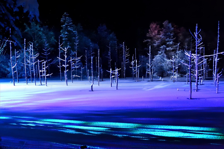 Sapporo: Blue Pond & Ningle Terrace Illumination, Biei Tour 10:40 – Departure：Sapporo Station North Exit Bus Parking Lot