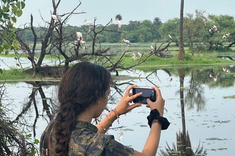 Agra To Bharatpur Same Day Tour with Fatehpur Sikri