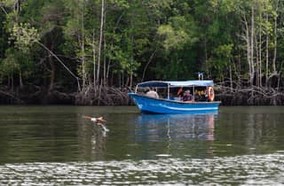 Langkawi: Mangroven-Flusskreuzfahrt Teilen 3 Stunden