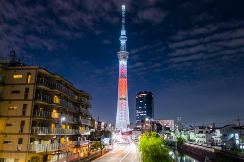 Tour panoramico privato di Tokyo con autista parlante inglese