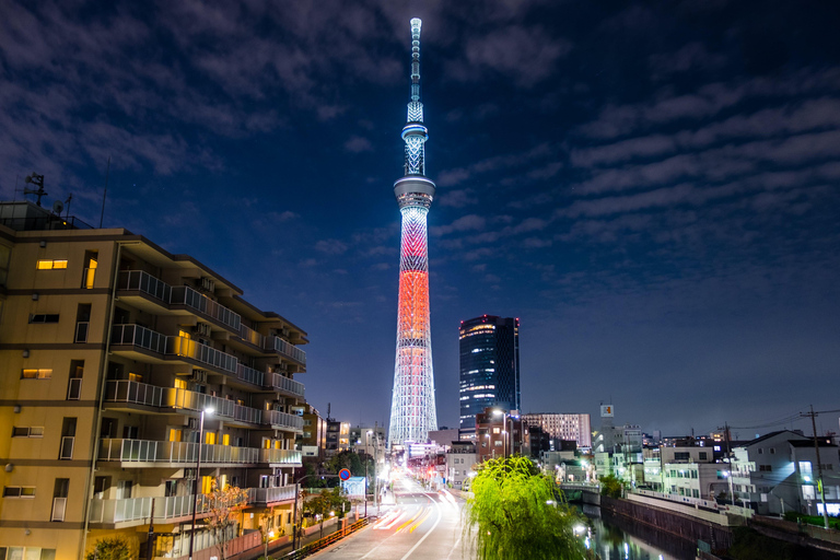 Visite privée de Tokyo avec chauffeur parlant anglais