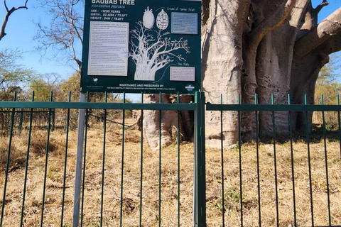 Victoria Falls: Guided Tour, Bridge, & Big Tree Visit