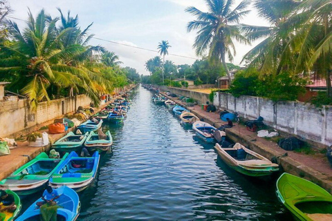 Negombo: Colombo City Tour & Hamilton Canal Boat Ride