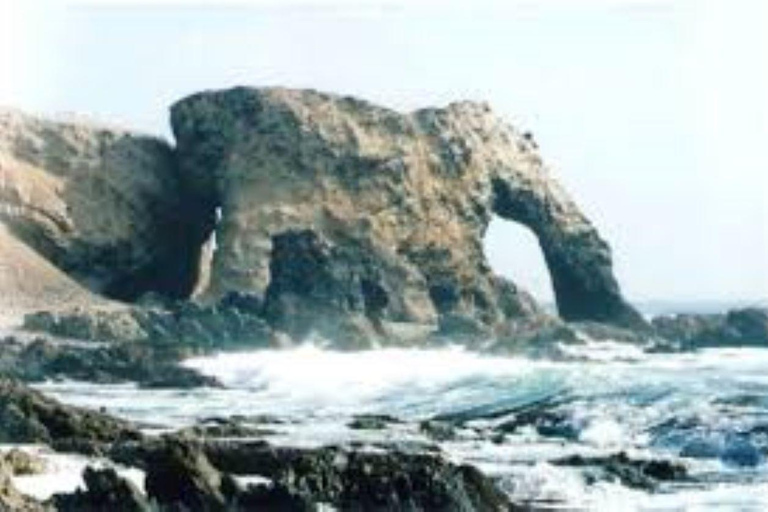 San Fernando Bay and Sandboarding in Nazca.