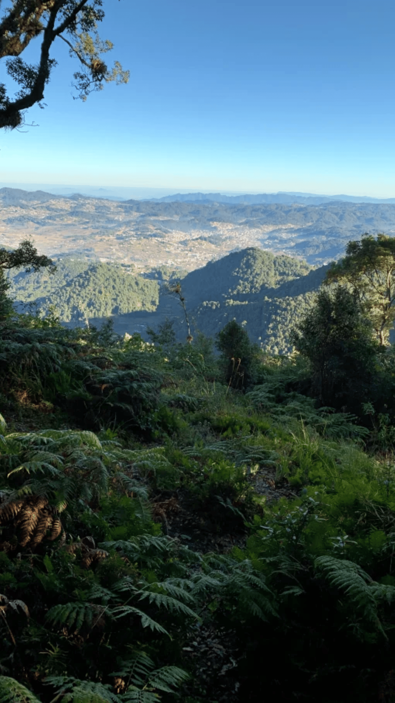 San Cristóbal de las Casas: Wanderung zu indigenen Gemeinschaften